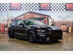 Thumbnail Photo 0 for 2017 Ford Mustang Shelby GT350 Coupe